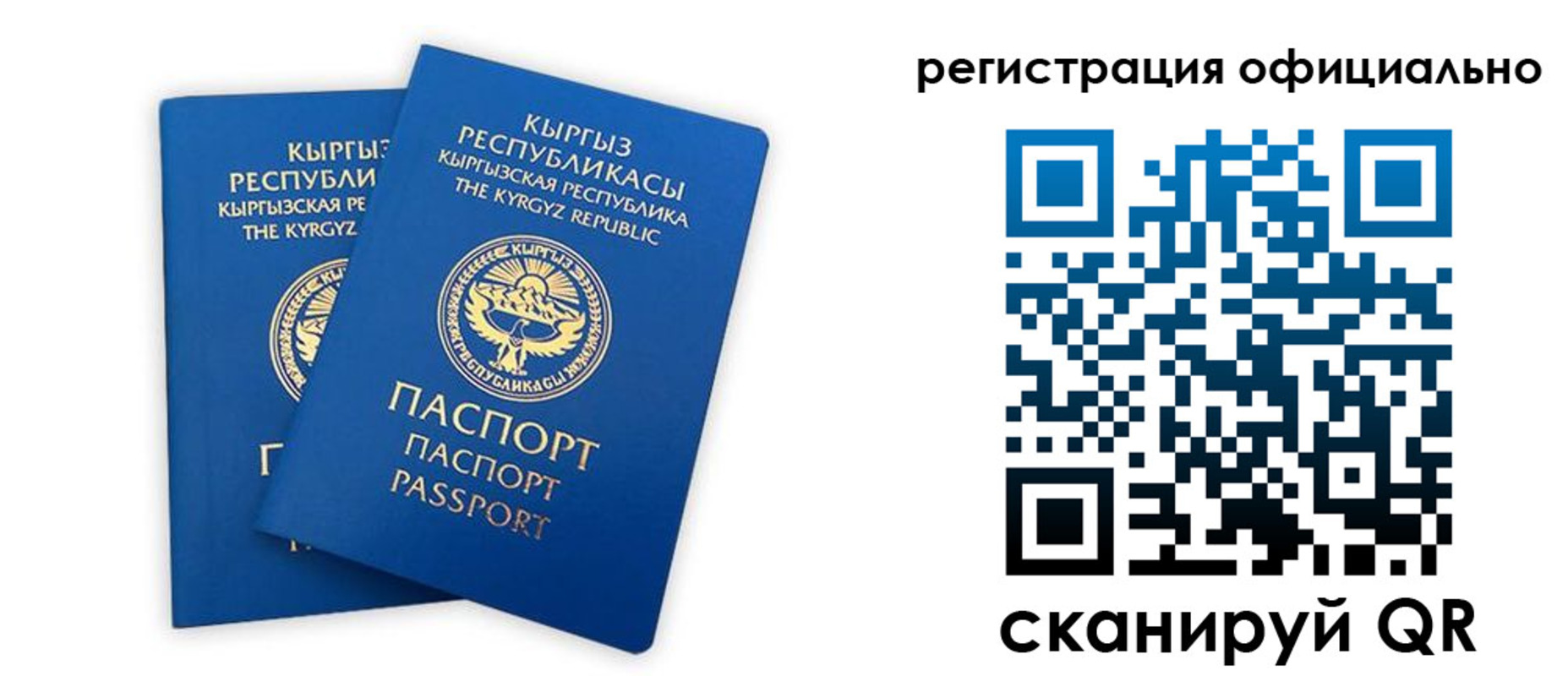 прописка поиск в Называевске